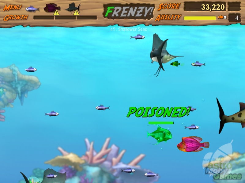 Where can i play feeding frenzy online for free
